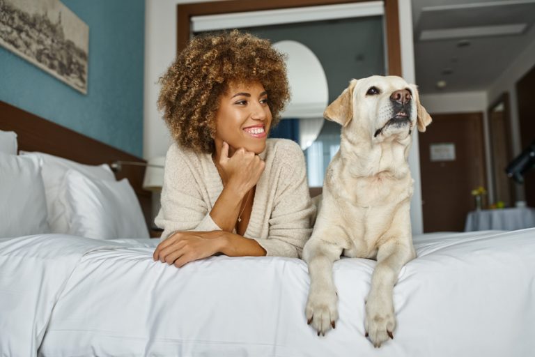 Resort pet friendly