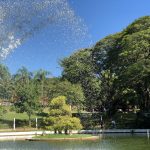 Lago tranquilo rodeado por natureza exuberante, ideal para relaxar durante uma viagem em família.