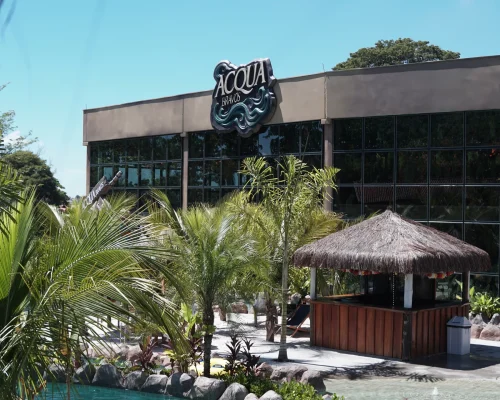 Descubra por que um resort com parque aquático no interior de SP transforma a viagem em família com mais lazer, conforto e praticidade.